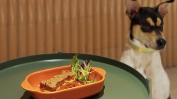 The Best Dog-Friendly Venues In Hong Kong