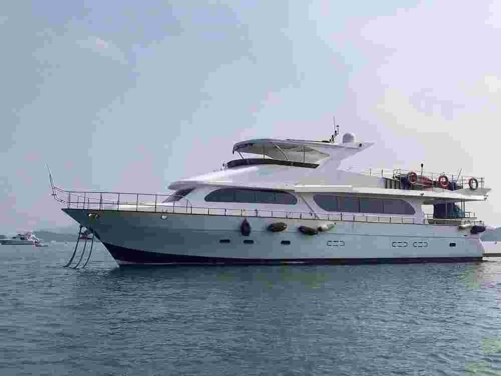 , Cruiser Dolphin