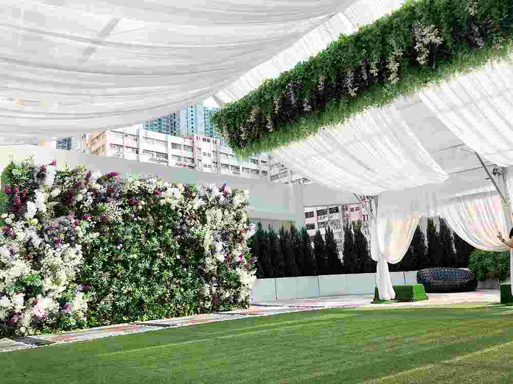 , The Terrace