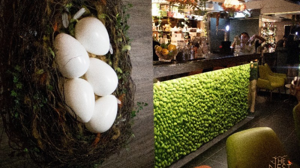 The Nest HK gallery image
